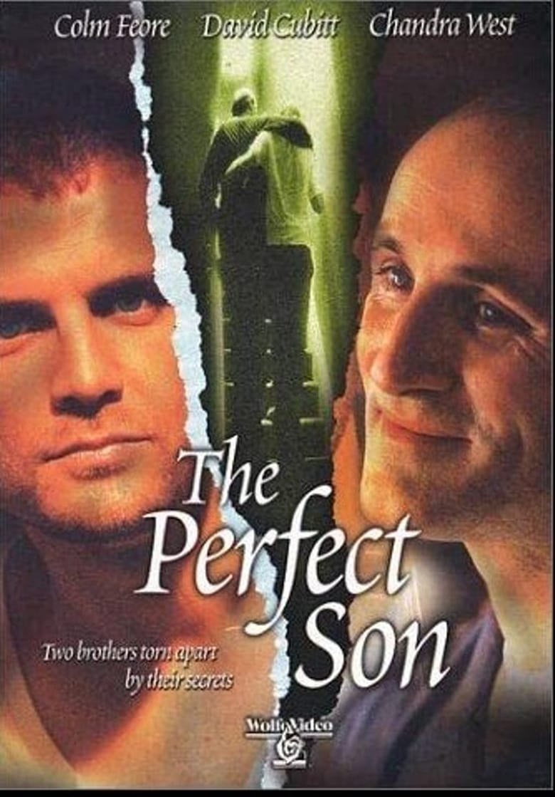 The Perfect Son 2000